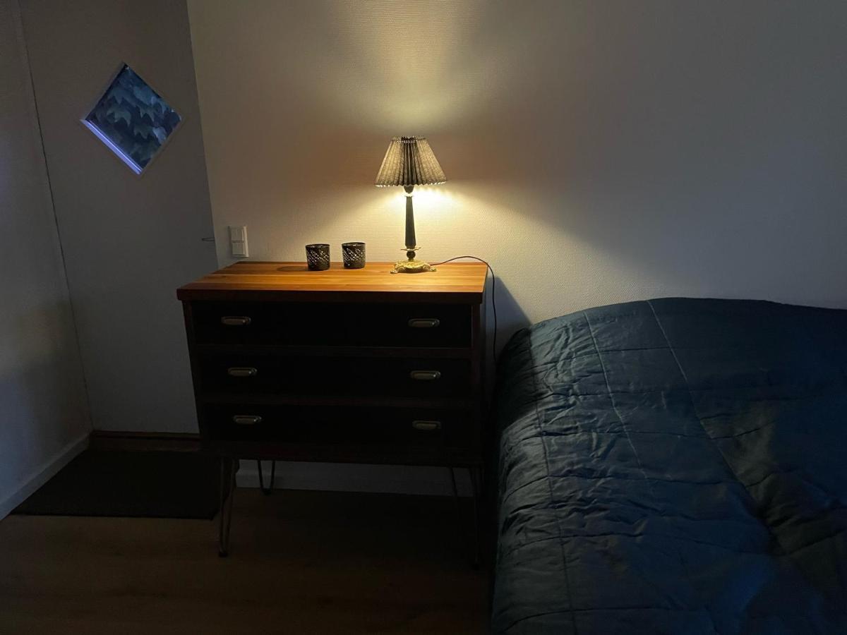 Jonstrupvejens Apartments Lejl B 巴勒鲁普 外观 照片